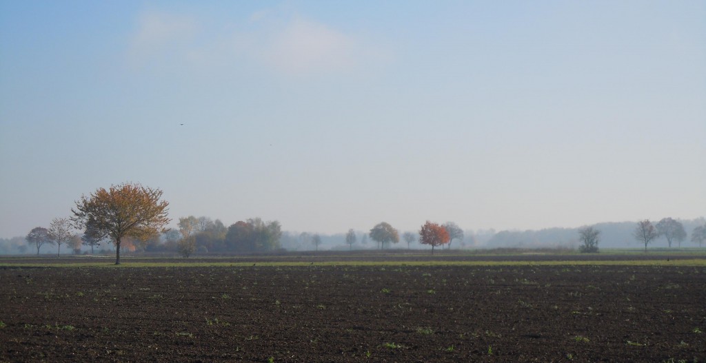 Samhain Neufahrn